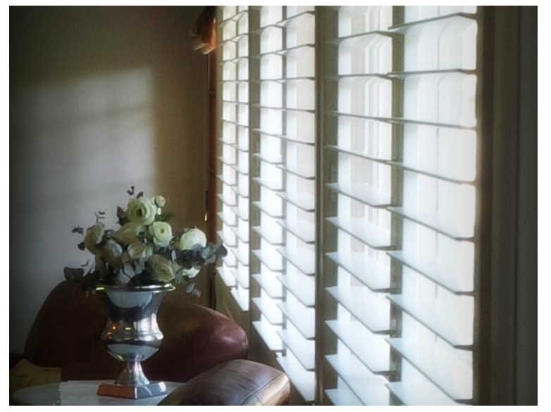 Vertical Screentex Flint Blinds